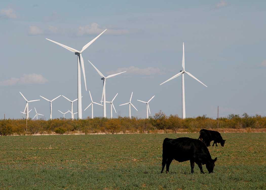 Wind Farm