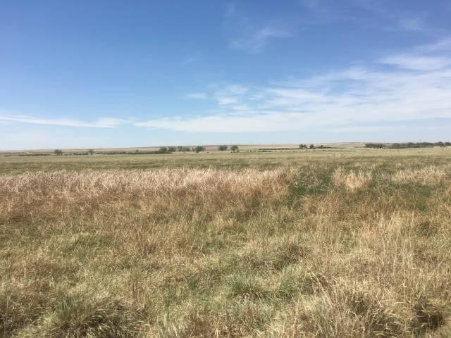 Mayranch